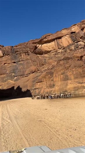 •𝐑𝐄𝐀𝐋 𝐎𝐍𝐄 (@tchad.passage)’s videos with son original - •𝐑𝐄𝐀𝐋 𝐎𝐍𝐄