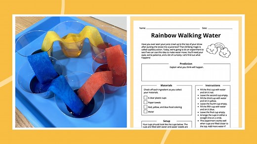 Rainbow Walking Water Experiment: How-To Plus Free Worksheet