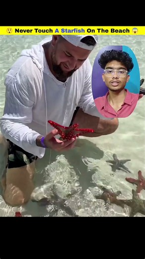 Why Starfish Die When You Pick Them Up||Don't Kill Starfish for Photos!😲😱