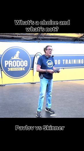 Entering a weekend in which we intend to discuss aversive control of behavior, I think it’s wise to revisit the idea that not all behavior is a conscious choice on the part of the dog. If we are going to use negative reinforcement and positive punishment properly, and with minimal fallout, we need to remind ourselves of the infinite ways in which Pavlovian processes drive behavior. Punishment works when the dog knows what to do to avoid it, AND they are capable of doing so…physically, emotionall