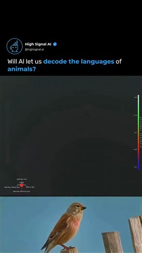 AI Updates & News • Technology • Artificial Intelligence on Instagram: "Al is unlocking animal communication. Soon we might understand their world. What if we could talk to animals?"