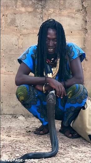 African Snake Charmer 🐍 | Traditional Ritual & Symbolism #shorts #SnakeCharmer #AfricanCulture