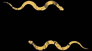 Animated golden snake fireworks pattern flying through the frame. Space for New Year 2025 greetings. Chinese New Year celebration. Golden snake crawling on black background. Seamless loop.