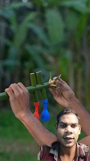 #experiment #bamboocrafts #bamboo single shot diy YouTube channel shortfeed trending green screen