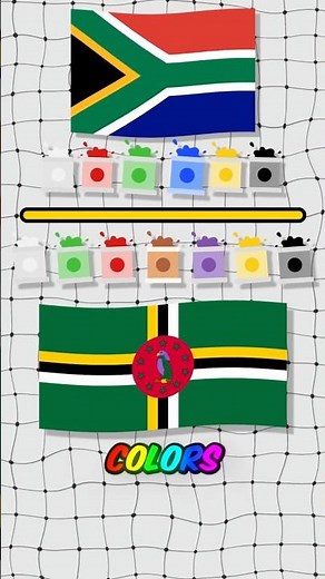 Which flag actually has the most colors? 🎨🌍