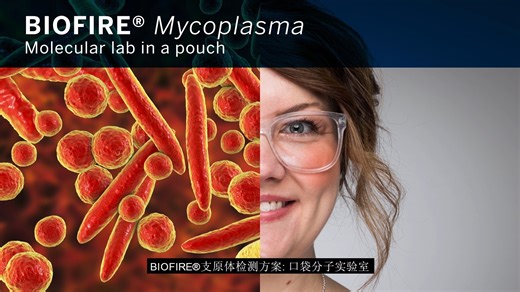 生物梅里埃BIOFIRE支原体检测方案：口袋分子实验室