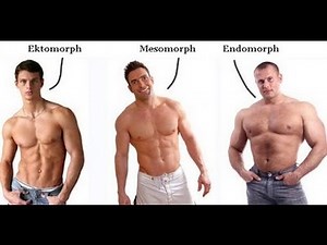 اعرف نوع جسمك Ectomorph أو Mesomorph أو Endomorph