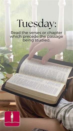 The Winter Quarter is almost here, and we’re excited to introduce our new Daily Bible Study Guide! This helpful resource is designed to turn your Sunday School or Small Group lesson into a week-long Bible study, helping you stay rooted in God’s Word every day. #BibleStudy #SundaySchool #SmallGroups #BaptistPublishingHouse #DailyInTheWord | Baptist Publishing House | Facebook