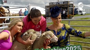 13K views · 59 reactions | The 2025 National Ploughing Championships were officially launched yesterday (Aug 25), showcasing what visitors can expect next month - from prize-winning animals and tractors to bakers, musicians, crafters and more. National Ploughing Championships #Ploughing2025 | Agriland.ie | Facebook