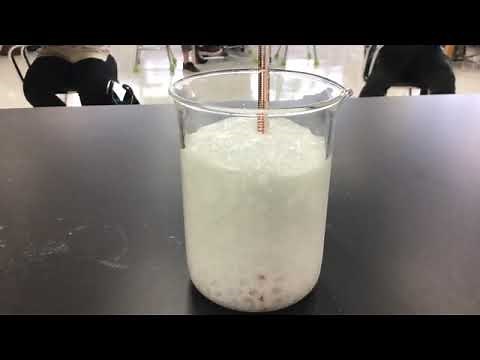 Citric Acid & Baking Soda Lab