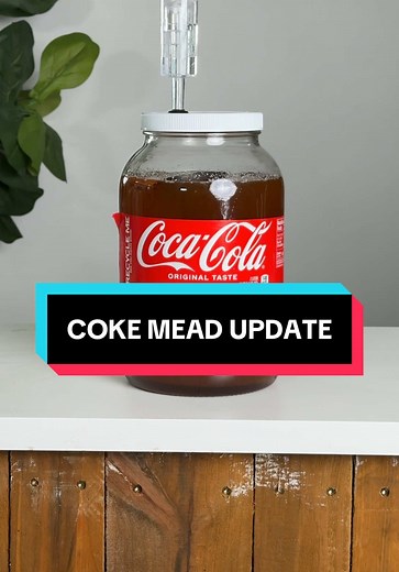 Coke mead update. What else would be good in this? #mead #honeywine #experiment #fermentation #homebrewing