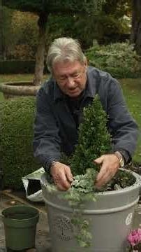 Alan’s Top 3 Picks for Winter-Ready Container Gardens🌷