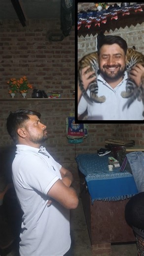 tutorial for beginners