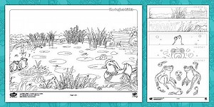 The Perfect Ribbit: Frogs and Tadpoles Colouring Pages