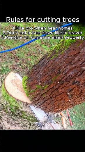 Tree cutting Rules