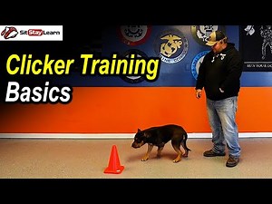 Effective Clicker Training for Dogs - Basics by Jacob Robinson