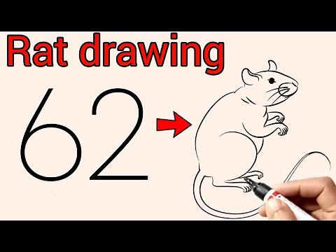 How To Draw A Rat Easy With Numbers | Rat Drawing Tutorial Step By Step For Beginners | 62 Rat Draw