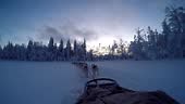 Sled dogs pulling a sled through the thick snow of an Arctic forest