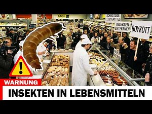 Aldi, Lidl, Rewe & Co.: Insekten in Lebensmitteln – diese Zutaten enthüllen die Wahrheit