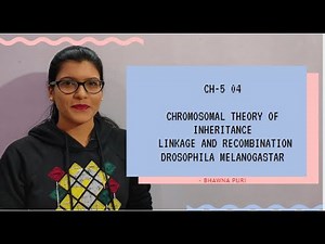 Ch - 5 04 Chromosomal theory of inheritance | Linkage and recombination | Class 12th | NEET | AIIMS
