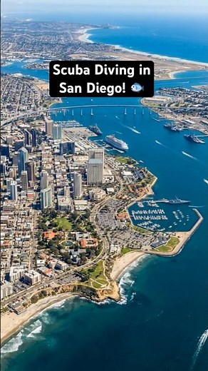 Scuba Diving in San Diego in a Kelp Forest and a Sunken Ship! #sandiego