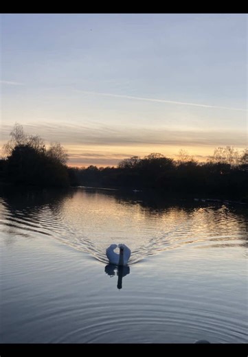 Shimmy Dance Moves and Rhythmic Vibes