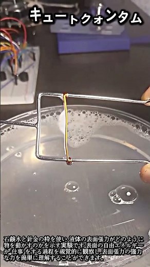 石鹸水が勝手に針金を引っ張る！？目で見る表面張力！ #science #stem #scicomm #physics #surfacetension #experiment