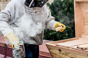 Why Do Beekeepers Use Smoke? And How To Use A Bee Smoker