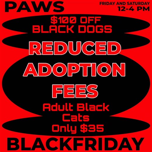 🎉🎉🎉ARE YOU READY!?!?!🎉🎉🎉 We're going to celebrate #BlackFriday Friday *and* Saturday with $100 off black dogs and 50% off black cats! That means, black dogs are only $60 adoption fees, and black cats are $35 adoption fees! 🖤 Adoptions MUST be finalized by Friday or Saturday to claim this special adoption fee, so apply now! 💗 Go to pendletonpaws.org/adoption to see who's available and email your completed adoption application to pawspendleton@gmail.com . Don't. Miss. Out! | Pendleton Anim