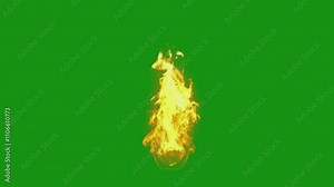 fire - bonfire green screen animated vídeo de Stock
