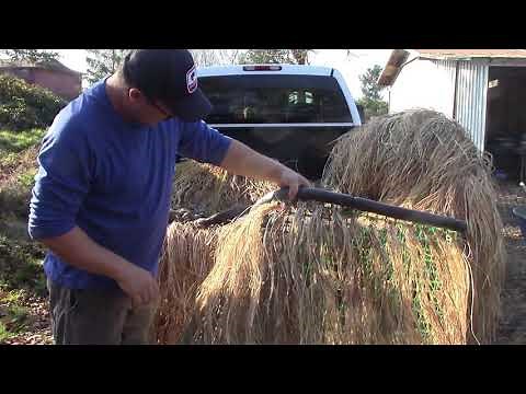 DIY Duck Blind Concealment & Scouting for Birds