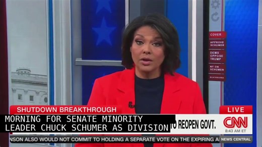 CNN Data Guru Reveals Just How Much Democrats Can’t Stand Chuck Schumer