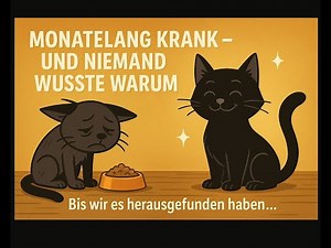 Monatelang krank – niemand fand die Ursache… bis wir den Napf geprüft haben. Der Fall Levi.