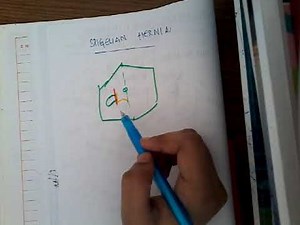 spigelian hernia || Surgery