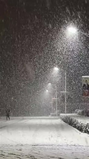 Explora las Nuevas Tendencias en TikTok