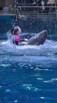 アクアパーク品川のイルカショー｜クジラの仲間オキゴンドウとトレーナーの水中パフォーマンス｜Pilot Whale Show