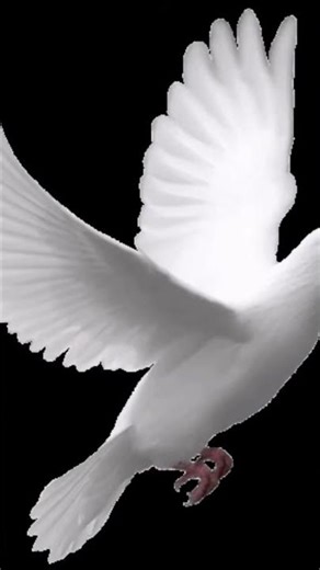 Arcade Type Beat - level up #liltecca #lilmosey #melodic #game #virtual