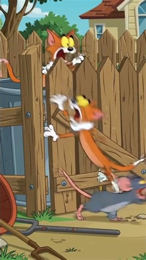 Cartoon rate run for save life,cat should use for food