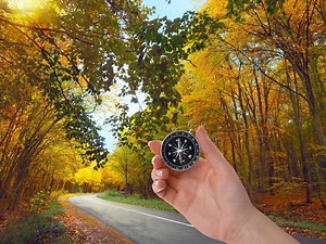 Tracking Autumn Leaves: The Best Fall Foliage Maps & Trackers For Each Colorful Region Of The U.S. In 2025