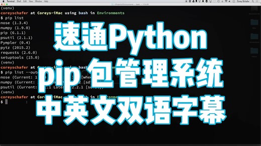 Python 教程：pip —— 深入解析 Python 的包管理系统