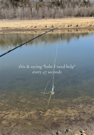 Mastering Tree Care: Essential Tips for every Gardener