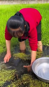 Incredible Techniques Adopt To Catch Sea Animals