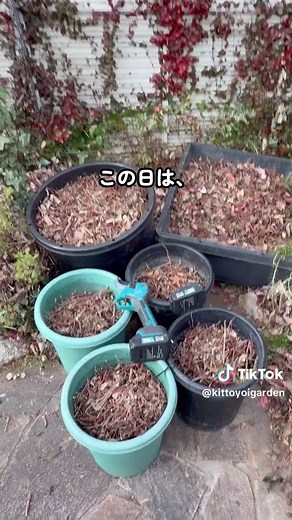 電動剪定ハサミの便利な使い方
