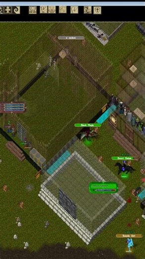 Ultima Online PvP – ICE Apprehended Offender Kolka