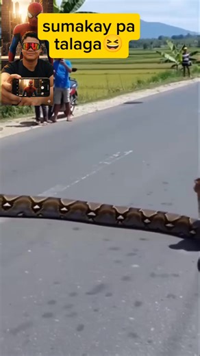 Look at that monkey, it's really riding.😰😰 #snake #monkey | Cesar Nga Becaria