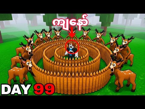 ကျွန်တော် 99 Nights In The Forest ထဲမှာ အလန်းစား Base ကြီး ဆောက်ခဲ့တယ် 😱😱 / I Build A Biggest Base