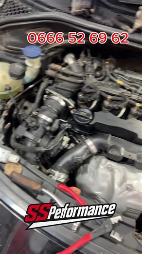 Peugeot 1.4/1.6 HDI EGR Suppression