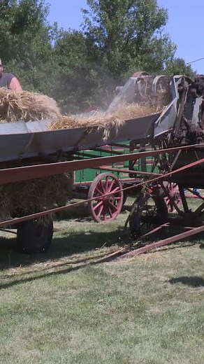 88K views · 1.1K reactions | Volunteers demonstrate threshing at the 50th Annual Threshing Show in Butterfield, Minn., in 2017. | Rural Heritage Magazine | Facebook