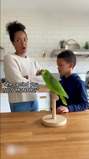 American Parrot Fixes Family Argument