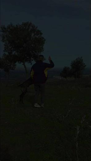 Vidéos de EToo Dz (@etoo_perla_dz) avec son original - Rap.nostalgique